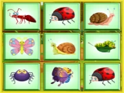 Find the Insect Online Puzzle Games on taptohit.com