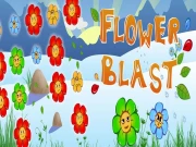 Flower Blast Online Puzzle Games on taptohit.com