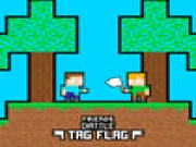 Friends Battle Tag Flag Online two-player Games on taptohit.com