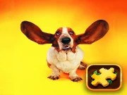 Funny Dogs Puzzle Online Puzzle Games on taptohit.com