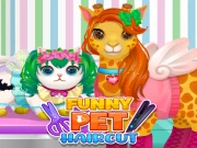 Funny Pet Haircut Online kids Games on taptohit.com