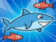 Gnam Gnam Shark Online kids Games on taptohit.com