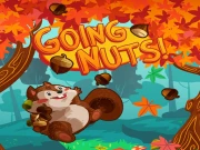 Going Nuts Game Online Casual Games on taptohit.com