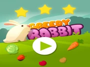Greedy Rabbit Online Agility Games on taptohit.com