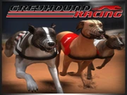 Greyhound Racing Online Racing & Driving Games on taptohit.com