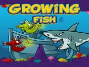 Growing Fish Online Agility Games on taptohit.com