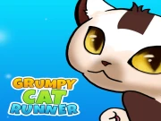 Grumpy Cat Runner Online Agility Games on taptohit.com
