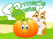 Hamster assistant Online Casual Games on taptohit.com
