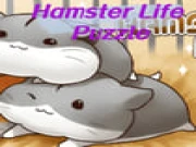 Hamster Life Puzzle Online animal Games on taptohit.com