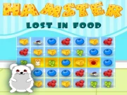Hamster Lost In Food Online Puzzle Games on taptohit.com
