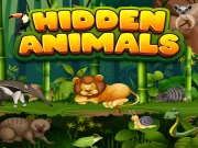 Hidden Animals Online Puzzle Games on taptohit.com