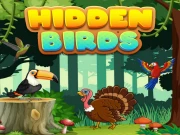 Hidden Birds Online Puzzle Games on taptohit.com