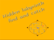 Hidden labyrinth - find and catch Online puzzle Games on taptohit.com