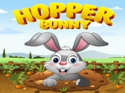 Hopper bunny Online Casual Games on taptohit.com