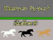 Horses Speed Online animal Games on taptohit.com