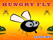 Hungry Fly Online Casual Games on taptohit.com