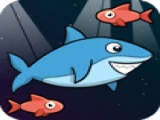 Hungry Shark Online action Games on taptohit.com