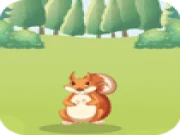 Hungry Squirrel Online animal Games on taptohit.com