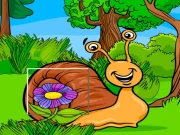 Insect Pic Puzzles Online Puzzle Games on taptohit.com