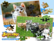 Jigsaw Puzzle Cats & Kitten Online Puzzle Games on taptohit.com