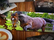 Jigsaw Puzzle Horses Edition Online Puzzle Games on taptohit.com
