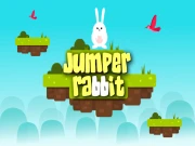 Jumper Rabbit Online Agility Games on taptohit.com
