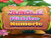 Jungle Hidden Numeric Online Adventure Games on taptohit.com
