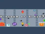 Kingdom of Ninja 7 Online Adventure Games on taptohit.com