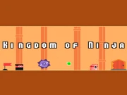 Kingdom of Ninja Online arcade Games on taptohit.com