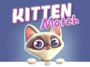 Kitten Match Online Puzzle Games on taptohit.com