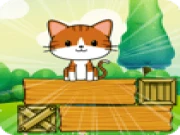 Kitty Drop Online animal Games on taptohit.com