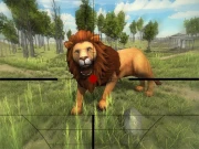 Lion Hunting 3D Online Shooter Games on taptohit.com