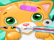 Little Cat Doctor Online Care Games on taptohit.com