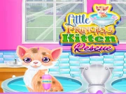 Little Princess Kitten Rescue Online Dress-up Games on taptohit.com