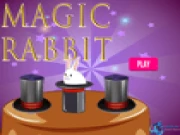 Magic Rabbit Online memory Games on taptohit.com