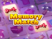 Memory Match Online Puzzle Games on taptohit.com