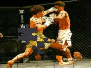 MMA Fighters Jigsaw Online Battle Games on taptohit.com