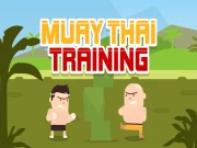 Muay Thai Training Online Casual Games on taptohit.com