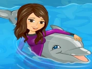 My Dolphin Show 1 HTML5 Online Agility Games on taptohit.com