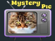 Mystery Pic Online Puzzle Games on taptohit.com