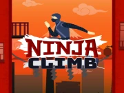 Ninja Climb