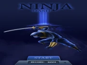 NinjaDash Online Casual Games on taptohit.com