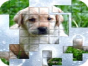 PicPu-Dog Online puzzle Games on taptohit.com