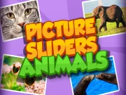 Picture Slider Animals Online Casual Games on taptohit.com