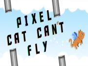 Pixel Cat Can t Fly Online Casual Games on taptohit.com
