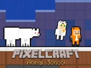 PixelCraft Animal School Online Arcade Games on taptohit.com