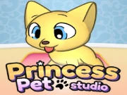 Princess Pet Studio Online Casual Games on taptohit.com