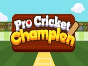 Pro Cricket Champion Online Sports Games on taptohit.com