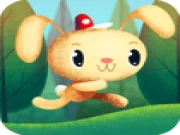 Rabbit Run Online animal Games on taptohit.com