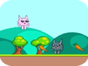 Rabbitii Online animal Games on taptohit.com